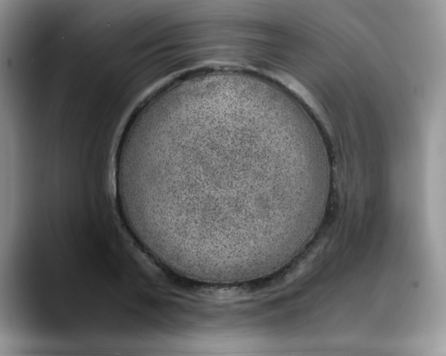 X0000088440791200706121508