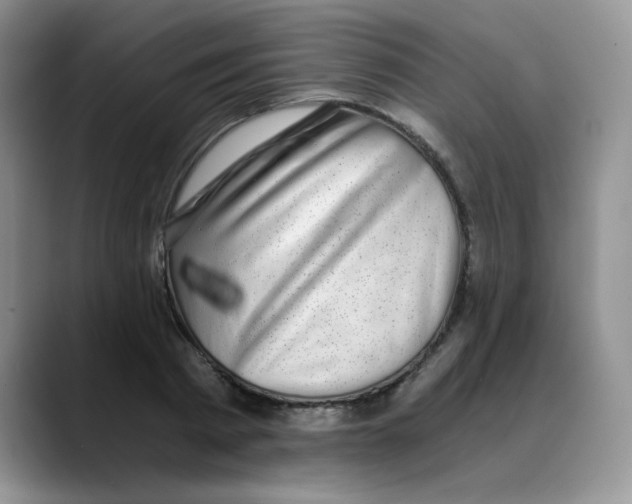 X0000088440793200706121508