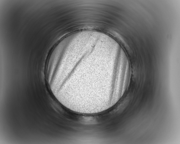 X0000088440794200706121508