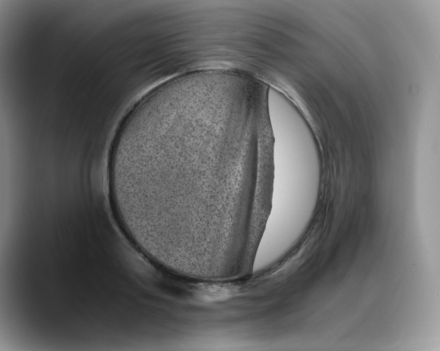 X0000088440795200706121508