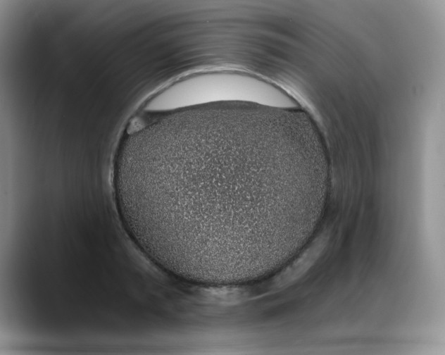 X0000088440797200706121508
