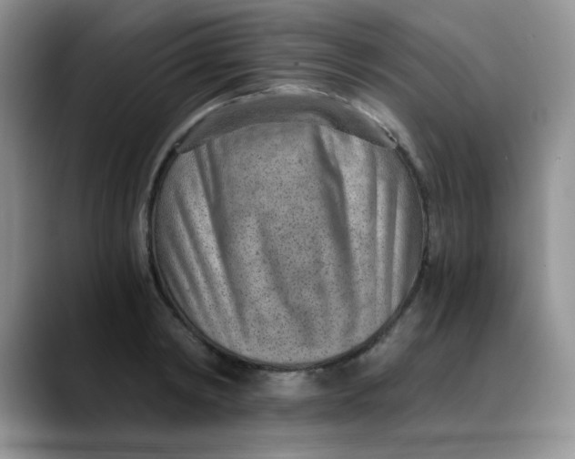 X0000088440798200706121508