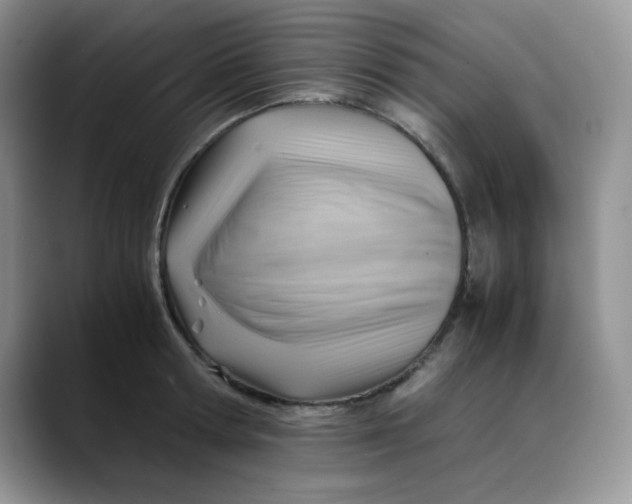 X0000088440802200706121507