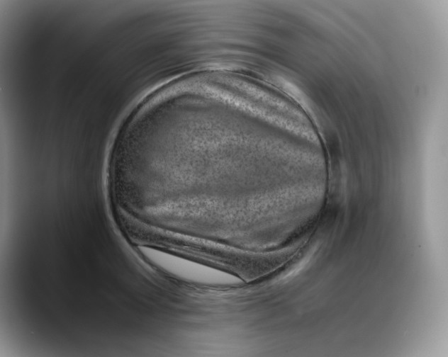 X0000088440803200706121507