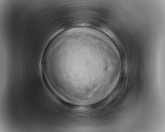 X0000088440806200706121507