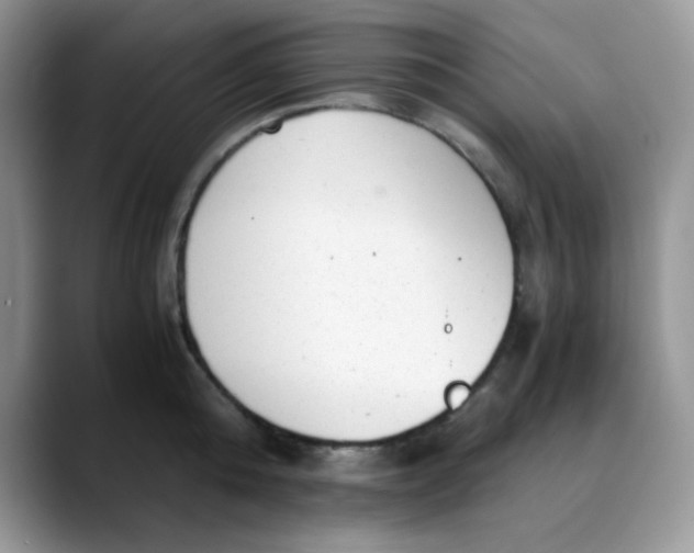 X0000088440808200706121507
