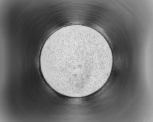 X0000088440810200706121507