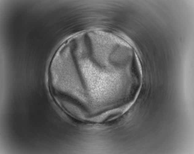 X0000088440811200706121507