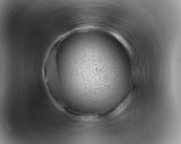 X0000088440813200706121507
