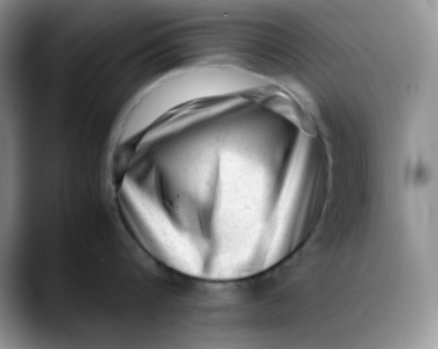 X0000088440816200706121507