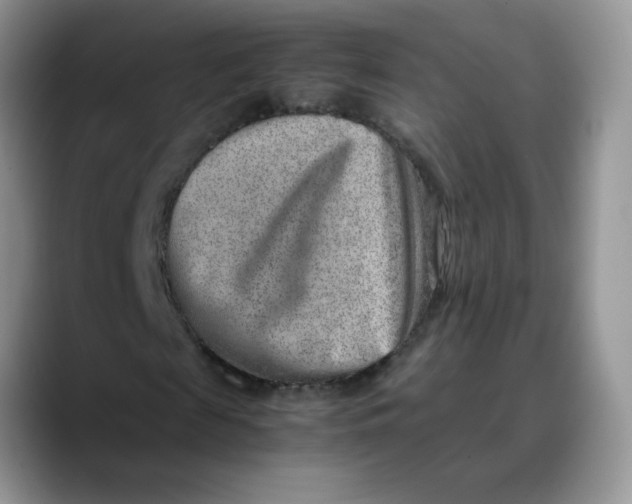 X0000088440817200706121507