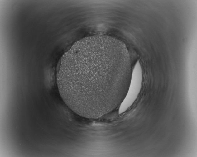 X0000088440818200706121507