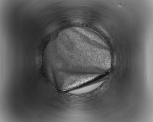 X0000088440821200706121507