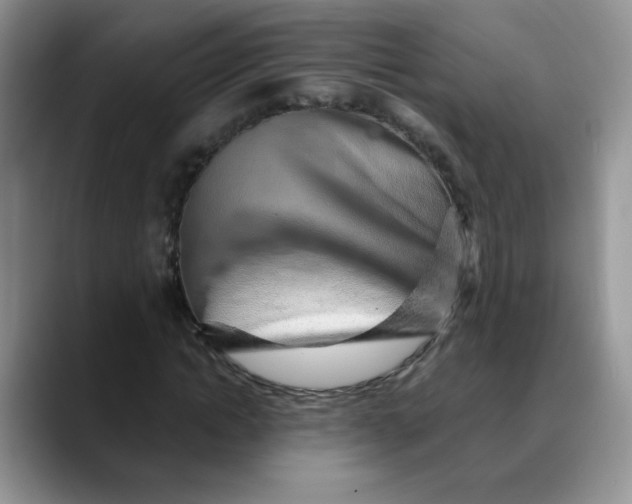 X0000088440822200706121507
