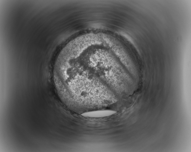 X0000088440823200706121507