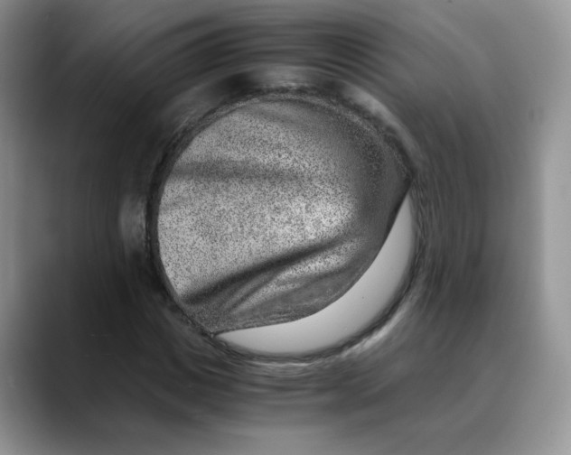 X0000088440825200706121507
