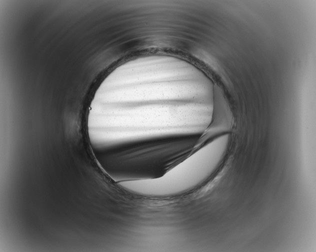X0000088440826200706121507