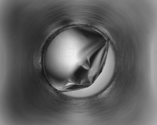 X0000088440830200706121507