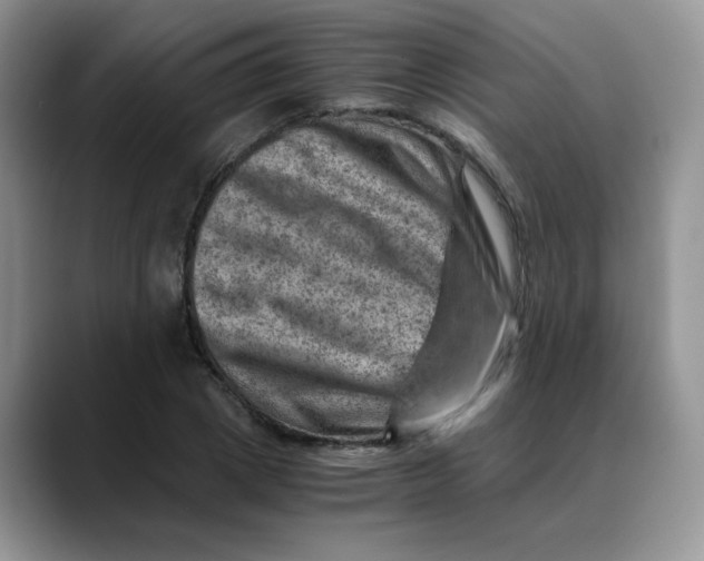 X0000088440833200706121507