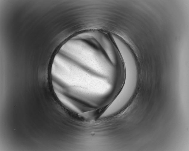 X0000088440834200706121507