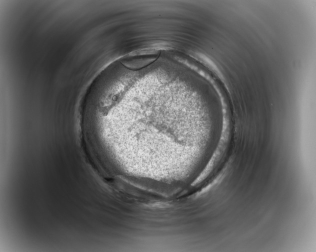 X0000088440835200706121507