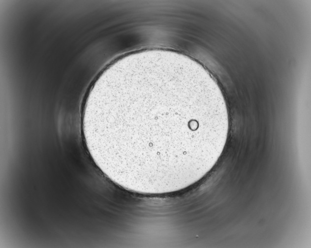 X0000088440836200706121507