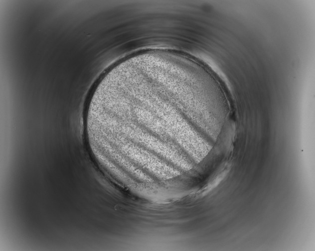 X0000088440837200706121507