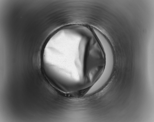 X0000088440838200706121507