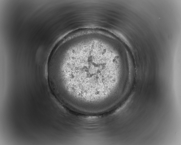 X0000088440839200706121507