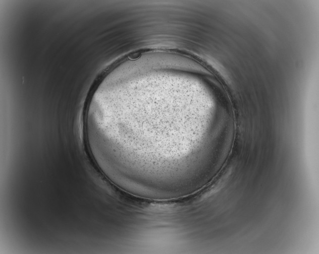 X0000088440840200706121507