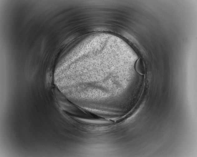 X0000088440841200706121507