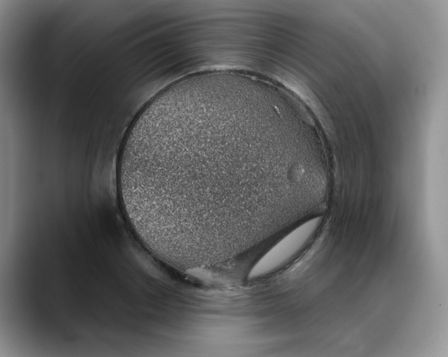X0000088440842200706121507