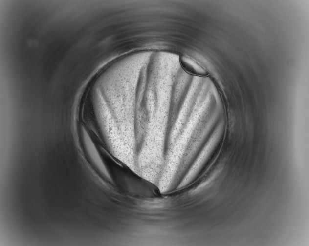 X0000088440843200706121507