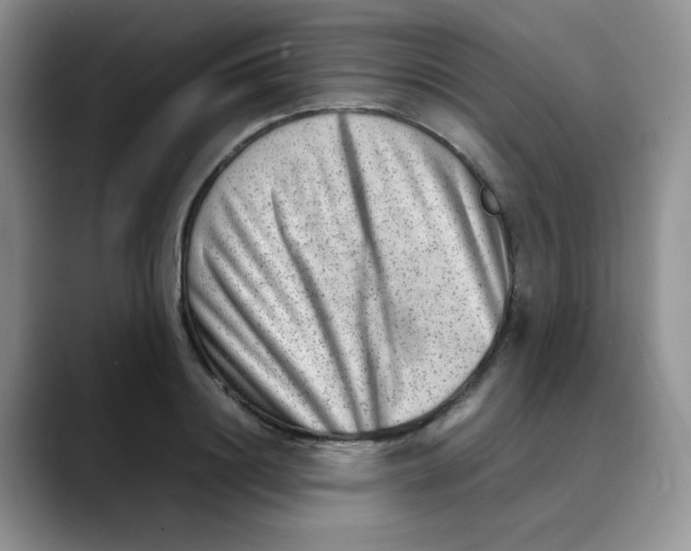 X0000088440844200706121507