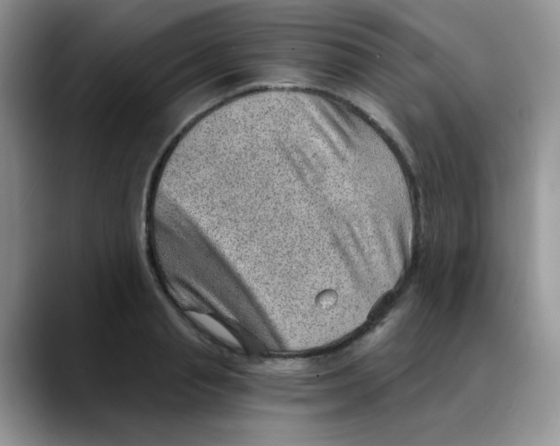 X0000088440845200706121507