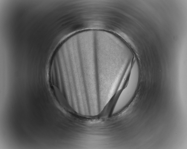 X0000088440846200706121507