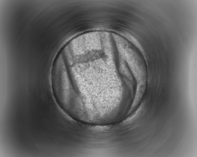 X0000088440847200706121507