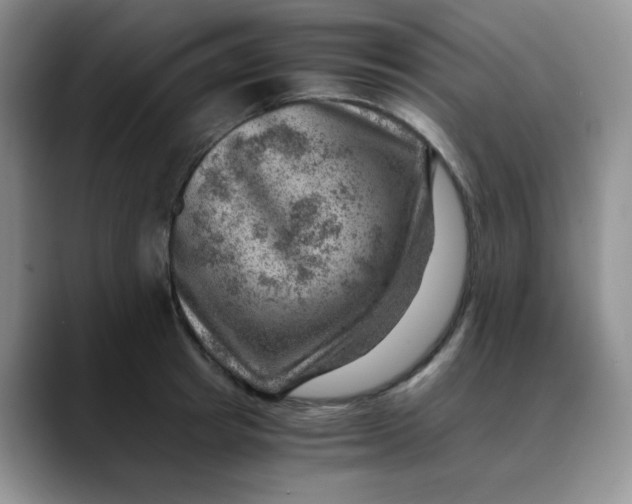X0000088440849200706121507