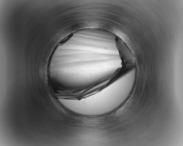 X0000088440850200706121507