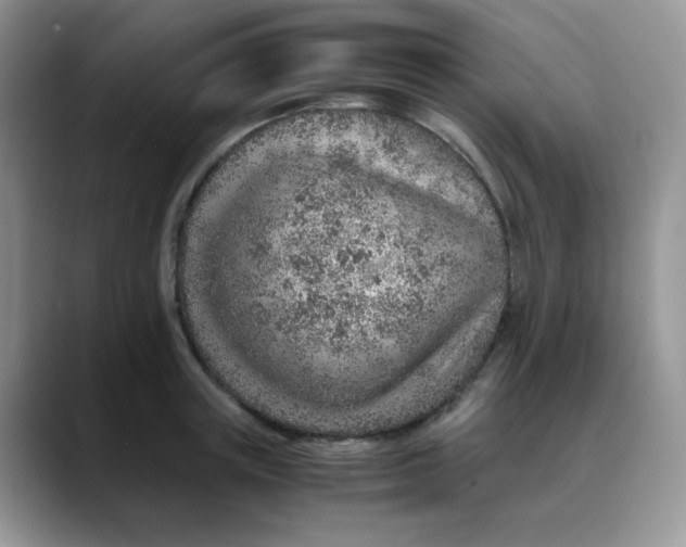 X0000088440851200706121507