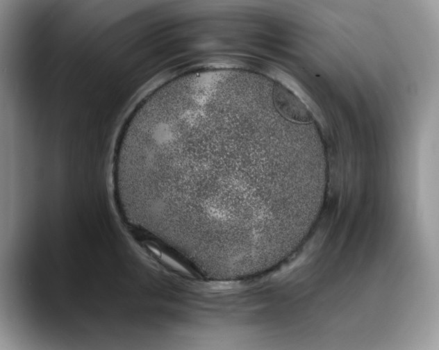 X0000088440853200706121507