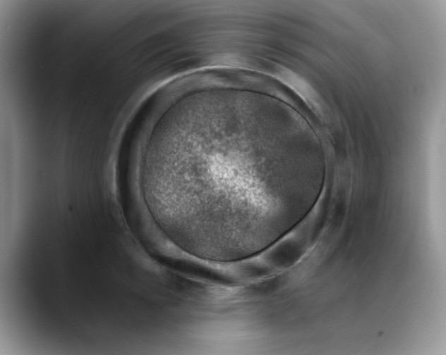 X0000088440854200706121507
