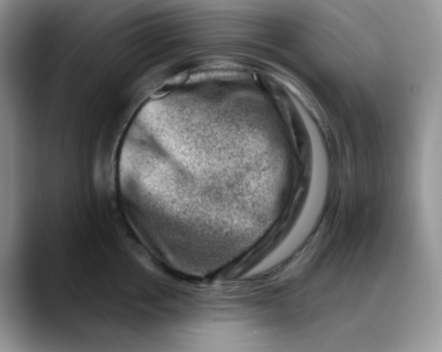 X0000088440858200706121507