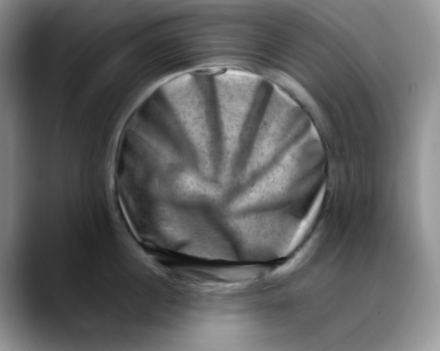 X0000088440860200706121507