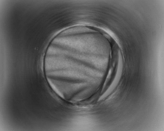 X0000088440862200706121507