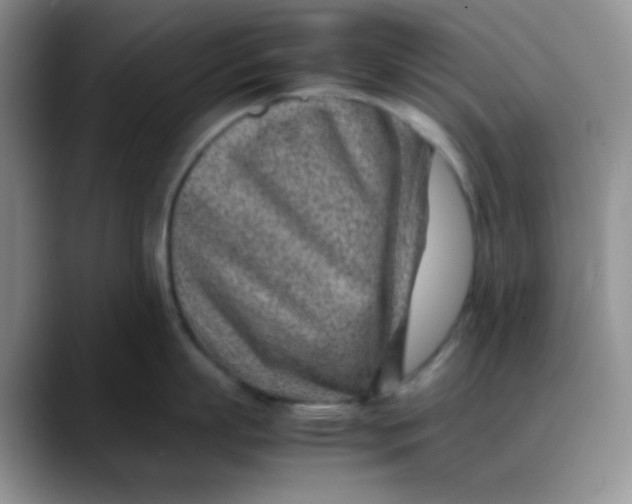 X0000088440863200706121507