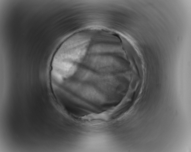 X0000088440864200706121507