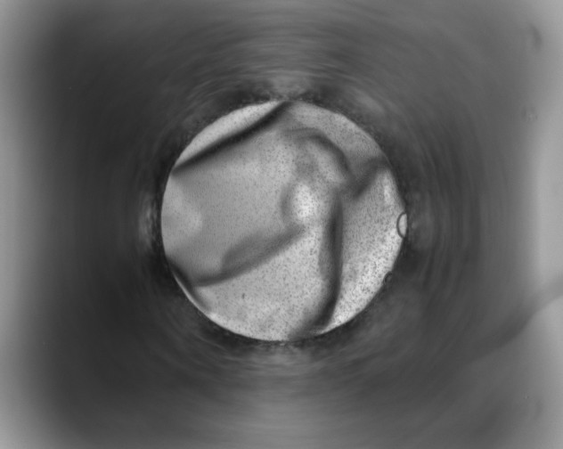 X0000088440866200706121507