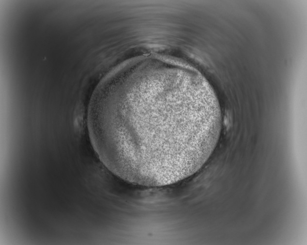 X0000088440867200706121507