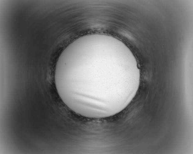X0000088440869200706121507